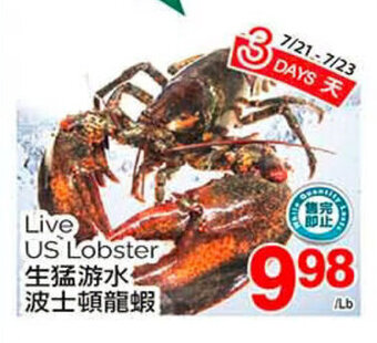 T&T Supermarket Live US Lobster offer