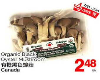 T&T Supermarket Organic Black Oyster Mushroom offer