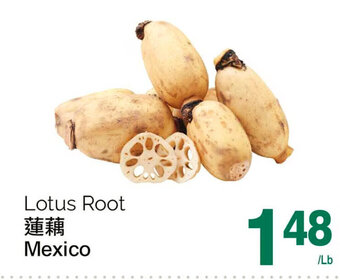 T&T Supermarket Lotus Root offer