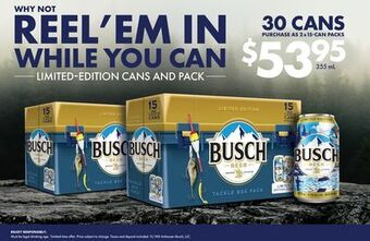 The Beer Store Busch 30 cans offer