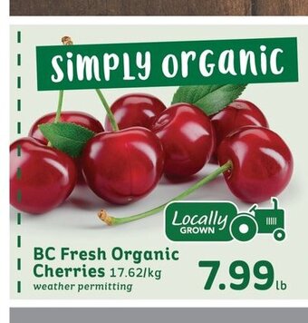 BC Fresh Organic Cherries
