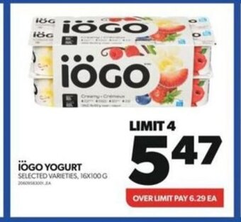 Wholesale Club IÖGO YOGURT offer