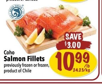Farm Boy Coho salmon fillets offer