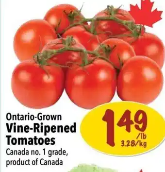 Farm Boy Ontario-Grown Vine-Ripened Tomatoes offer