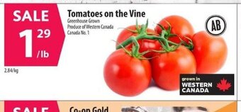 Co-op Tomatoes on the Vine offer