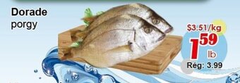 Marche C&T Dorade offer