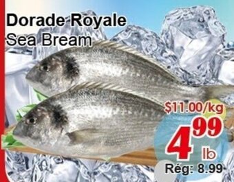 Marche C&T Dorade Royale offer