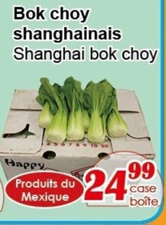 Bok choy shanghainais