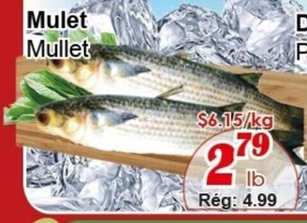 Marche C&T Mulet offer