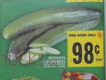 Food Basics SEEDLESS CUCUMBERS offer