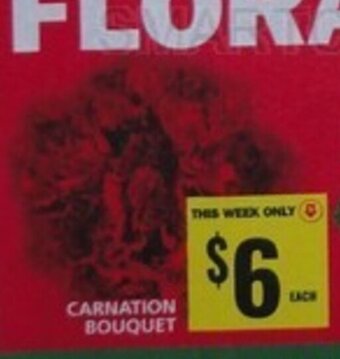 Food Basics CARNATION BOUQUET offer