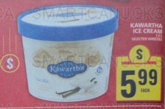Food Basics KAWARTHA ICE CREAM offer