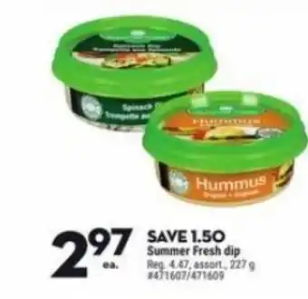 Giant Tiger Summer Fresh dip 227g offer