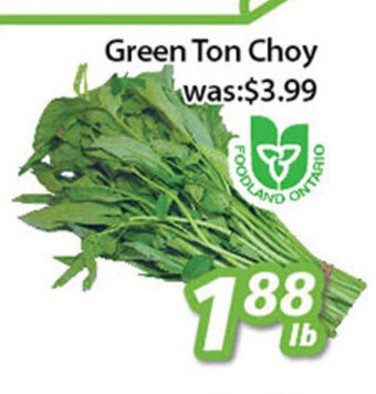 Ample Food Market Green Ton Choy offer