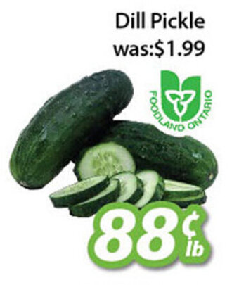 Ample Food Market Dill Pickle offer