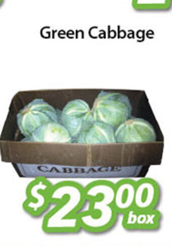 Ample Food Market Green Cabbage offer