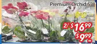 Ample Food Market Premium Orchid 5' for 2 offer