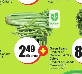 FreshCo Green Beans or Celery offer