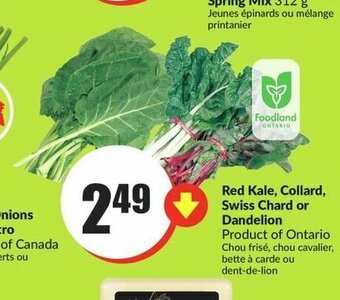 FreshCo Red Kale, Collard, Swiss Chard or Dandelion offer