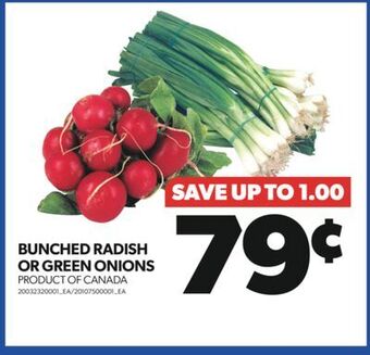 Real Canadian Superstore Bunched radish or green onions offer