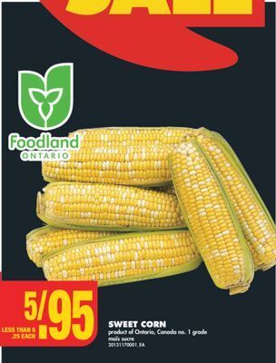 No Frills Sweet corn offer