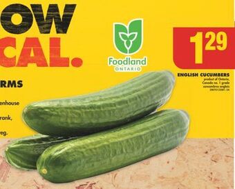 No Frills English cucumbers offer