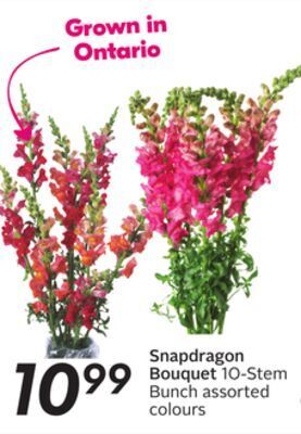 Sobeys Snapdragon bouquet offer