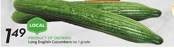 Sobeys Long english cucumbers offer