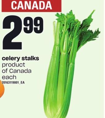 Loblaws Celery stalks offer