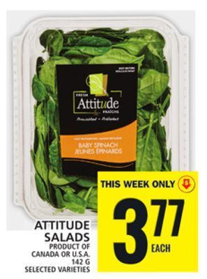 Food Basics Attitude salads offer