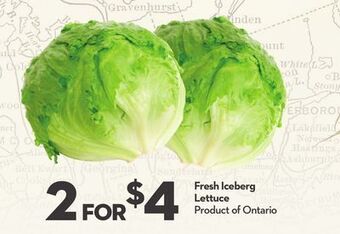 Longo's Fresh iceberg lettuce offer