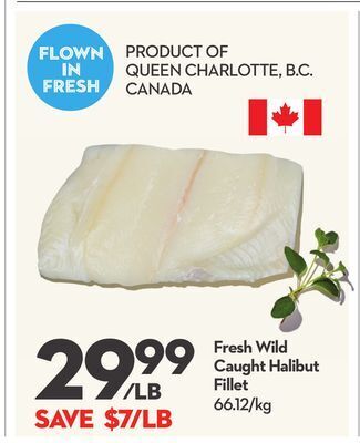 Longo's Fresh wild caught halibut fillet offer