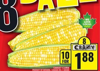 Food Basics Sweet corn offer