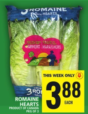 Food Basics Romaine hearts offer