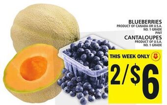 Food Basics Blueberries offer