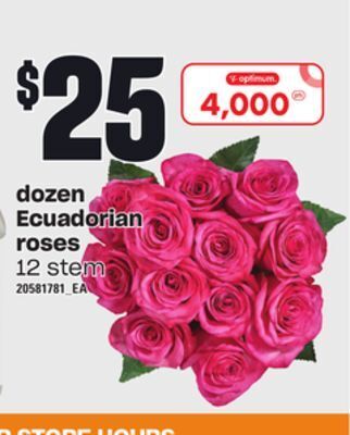 Independent Grocer Dozen ecuadorian roses offer