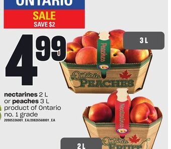 Loblaws Nectarines, 2 l or peaches, 3 l offer