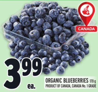 Metro Organic blueberries offer