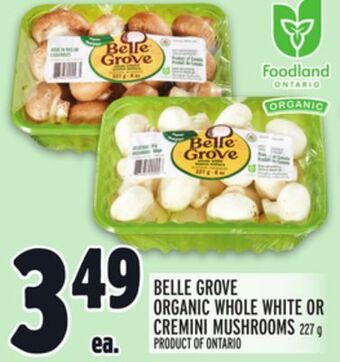 Metro Belle grove organic whole white or cremini mushrooms offer