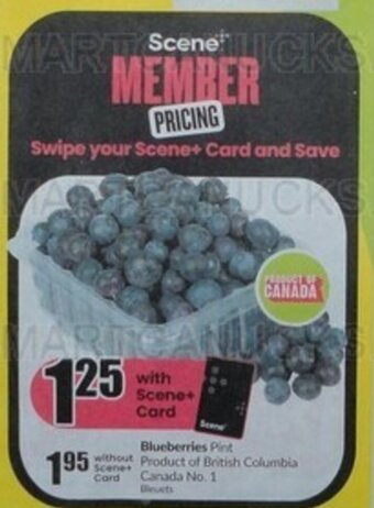 FreshCo Blueberries offer