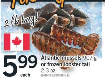 Fortinos Atlantic mussels 907 g or frozen lobster tail, 2-3 oz offer