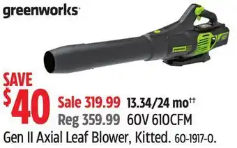 Canadian Tire Greenworks gen ii axial leaf blower, kitted offer