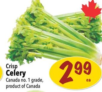 Farm Boy Crisp celery offer