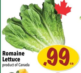 Farm Boy Romaine lettuce offer