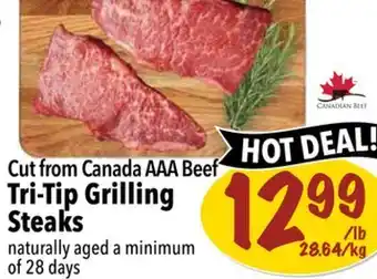 Tri-tip grilling steaks