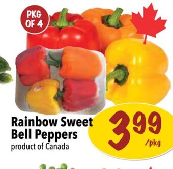 Farm Boy Rainbow sweet bell peppers offer
