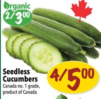 Farm Boy Seedless cucumbers offer