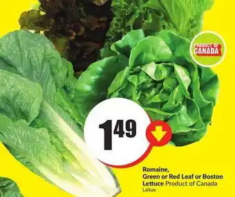 FreshCo Romaine, green or leaf or boston lettuce product of canada offer