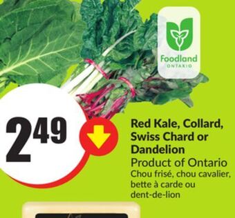 Chalo FreshCo Red kale, collard, swiss chard or dandelion product of ontario offer