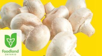 Giant Tiger 8 oz whole white mushrooms offer